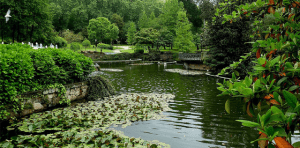 Finca de la Marquesa